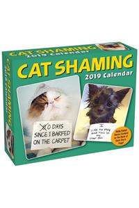 Cat Shaming 2019 Day-To-Day Calendar