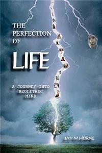 The Perfection of Life: A Journey Into Neolithic Mind