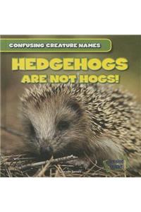 Hedgehogs Are Not Hogs!