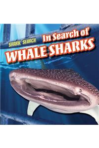 In Search of Whale Sharks