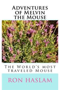 Adventures of Melvin the Mouse