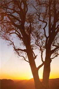 One Tree Sunset Journal