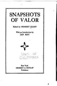 Snapshots of valor
