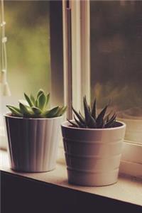 Succulents on a Windowsill Journal