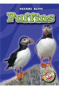 Puffins