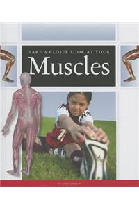 Take a Closer Look at Your Muscles