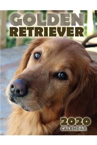 Golden Retriever 2020 Calendar