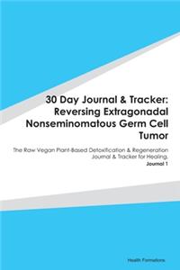 30 Day Journal & Tracker: Reversing Extragonadal Nonseminomatous Germ Cell Tumor: The Raw Vegan Plant-Based Detoxification & Regeneration Journal & Tracker for Healing. Journ