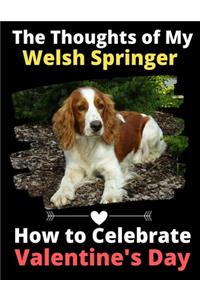 Thoughts of My Welsh Springer
