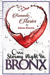 One Stormy Night In Bronx