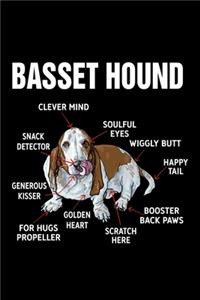 Basset Hound: Anatomy of a Basset Hound. Funny Dog Lined Notebook. Perfect Gift for Pet Owners and Lovers of Puppies.