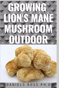 Growing Lion's Mane Mushroom Outdoor