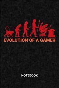 Evolution of a Gamer
