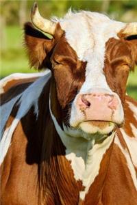 Blinking Cow Journal