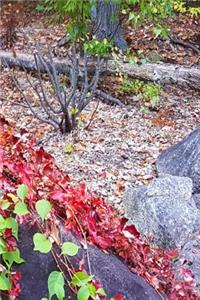 2019 Weekly Planner Nature Late Autumn 134 Pages