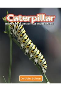 Caterpillar: Fun Facts and Amazing Photos of Animals in Nature