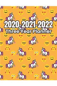 2020 - 2021 - 2022 Three Year Planner