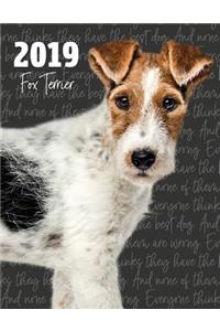2019 Fox Terrier