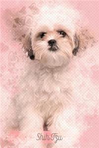 Shih Tzu
