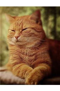 Marmalade Cat Journal