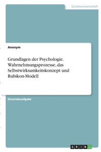 Grundlagen der Psychologie. Wahrnehmungsprozesse, das Selbstwirksamkeitskonzept und Rubikon-Modell