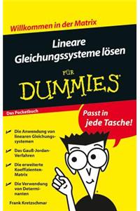 Lineare Gleichungssysteme losen fur Dummies