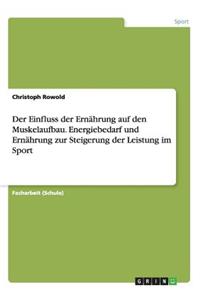 Einfluss der Ernährung auf den Muskelaufbau. Energiebedarf und Ernährung zur Steigerung der Leistung im Sport