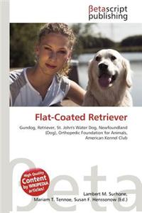 Flat-Coated Retriever