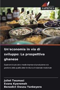 Un'economia in via di sviluppo