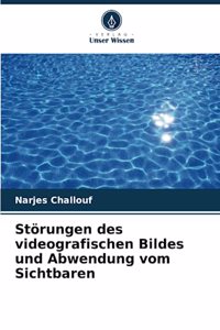 Störungen des videografischen Bildes und Abwendung vom Sichtbaren
