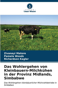 Wohlergehen von Kleinbauern-Milchkühen in der Provinz Midlands, Simbabwe