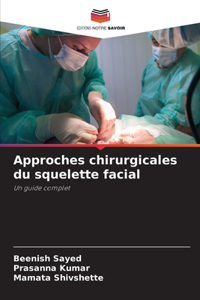 Approches chirurgicales du squelette facial