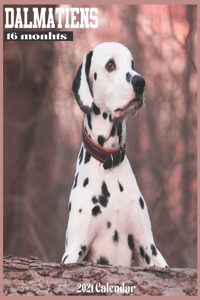 Dalmatiens 2021 Calendar