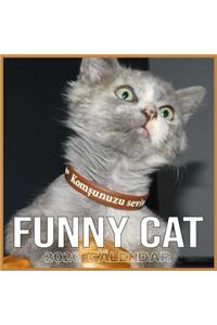 Funny cat 2020 calendar