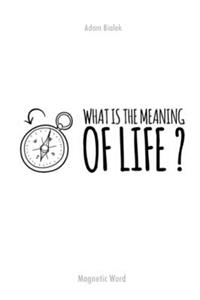 What is the meaning of life ?