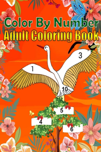Color By Number Adult Coloring Book