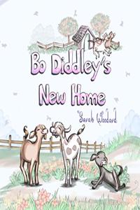 Bo Diddley's New Home