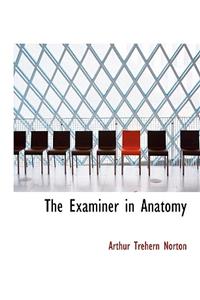 The Examiner in Anatomy