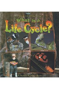 What Is a Life Cycle?