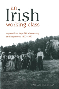 An Irish Working Class