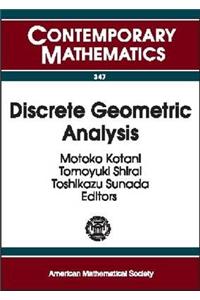 Discrete Geometric Analysis