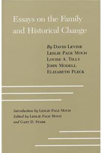 Essays Family/Hist Change #17