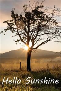 Hello Sunshine