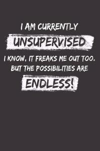 Sarcastic Sayings Unsupervised Notebook Journal