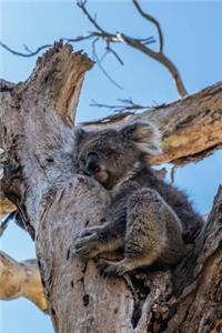 Taking a Power Nap