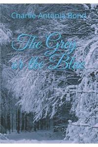 The Grey or the Blue