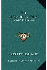 Brigand Captive