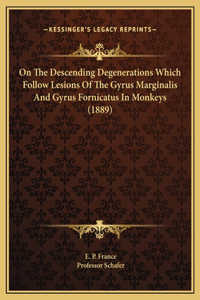 On The Descending Degenerations Which Follow Lesions Of The Gyrus Marginalis And Gyrus Fornicatus In Monkeys (1889)