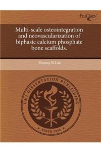 Multi-Scale Osteointegration and Neovascularization of Biphasic Calcium Phosphate Bone Scaffolds