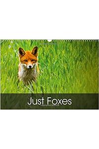 Just Foxes 2017